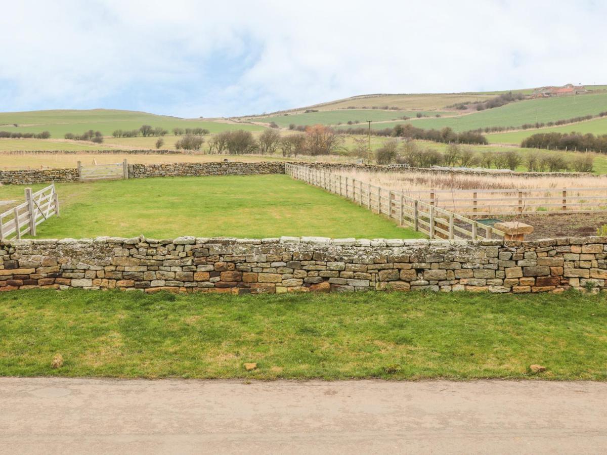 Street House Farm Cottage Saltburn-by-the-Sea Exterior photo